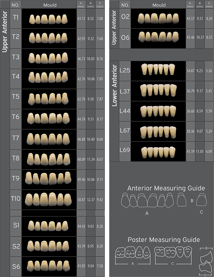 R103 Three Layer Acrylic Resin Teeth